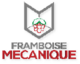 Framboise_mecanique - avatar